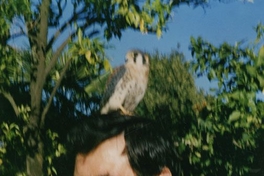 Fidel Sepúlveda con un cernícalo sobre la cabeza, en casa de Ema Jauch, Linares, ca. 1980