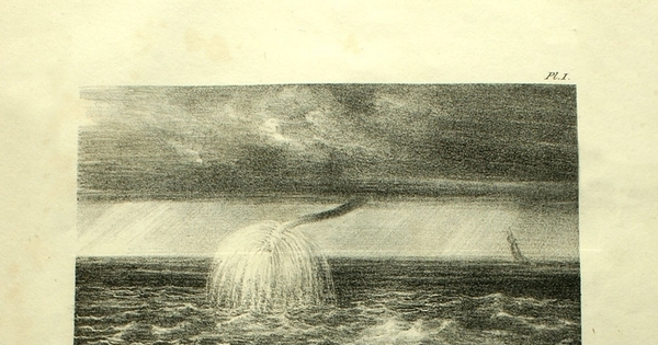 Water Spout