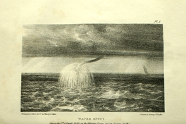 Water Spout