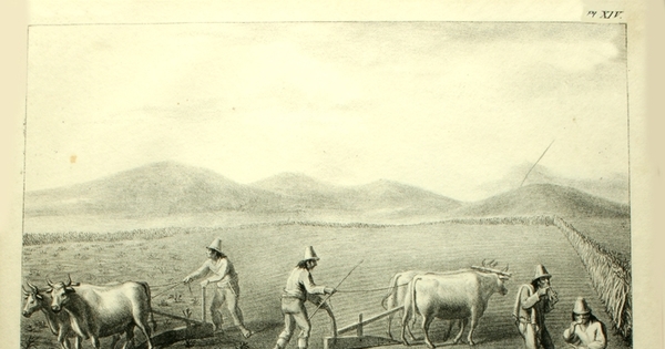 Ploughing, 1824