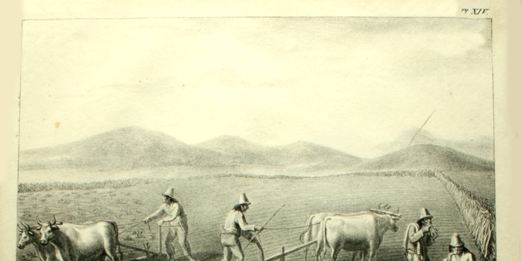 Ploughing, 1824