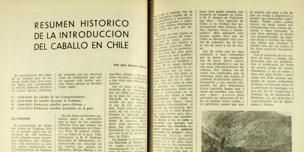 Resumen histórico de la introducción del caballo en Chile