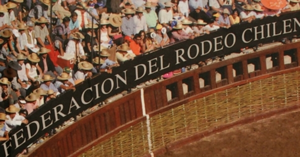 [Carta de aceptación de la Federación del Rodeo Chileno] al Consejo Nacional de Deportes, Comité Olímpico de Chile, 1962