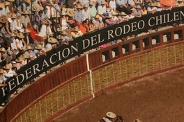 [Carta de aceptación de la Federación del Rodeo Chileno] al Consejo Nacional de Deportes, Comité Olímpico de Chile, 1962
