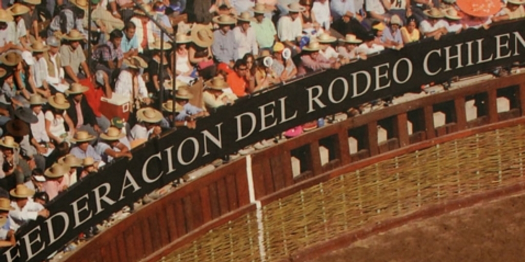 [Carta de aceptación de la Federación del Rodeo Chileno] al Consejo Nacional de Deportes, Comité Olímpico de Chile, 1962