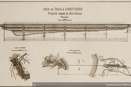 Línea de Talca a Constitución: puente sobre el Río Maule: elevación