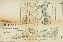 Plano de Malleco, Dillo y Curacautín, con sus terrenos divididos en hijuelas, 1894