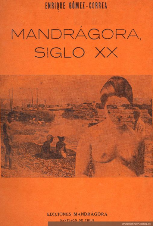 Mandrágora, siglo XX