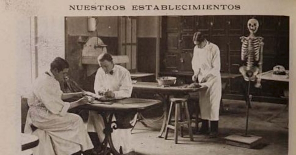 En la Escuela de Medicina