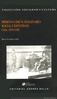 Prisión común, imaginario social e identidad : Chile, 1870-1920