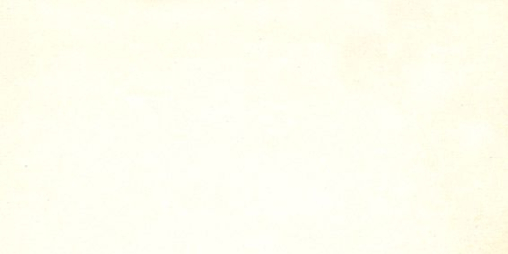 Mineral de cobre El Teniente : breve relato de su historia, desarrollo y organización