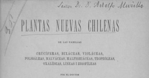 Plantas nuevas chilenas de las familias crucíferas, bixáceas, violáceas, poligáleas