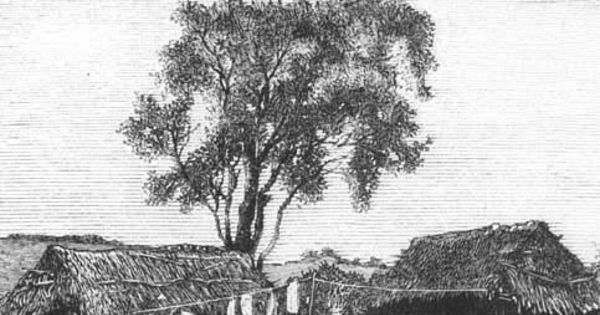Casas rurales y gente de campo, siglo XIX