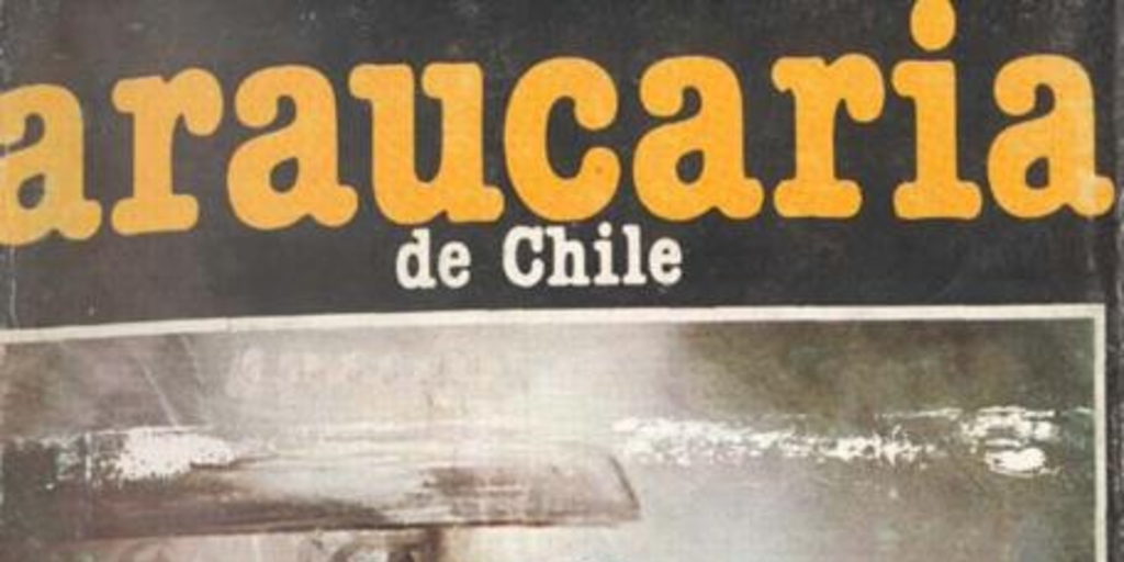 Araucaria de Chile, no. 6 (1979)