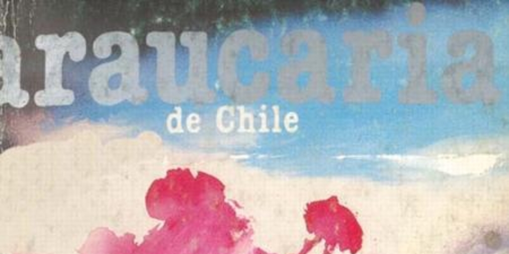 Araucaria de Chile, no. 12 (1980)