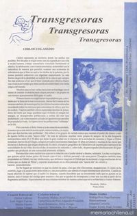 Pájaro pardo : Año 1, nº1 (invierno 1995).