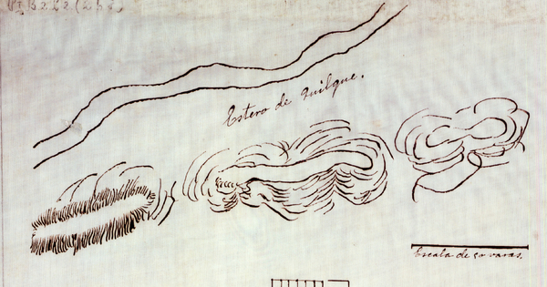 Plano del campamento de Lonquilmo en el que celebra parlamento entre Ambrosio O'Higgins y losaraucanos