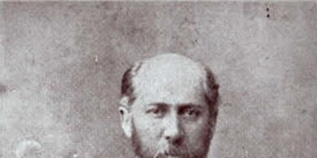 José Francisco Vergara Echevers, 1833-1889