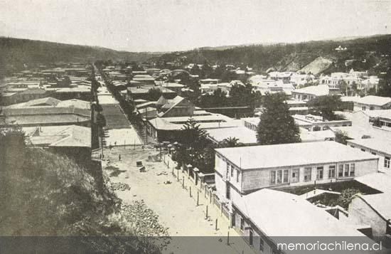 Viña del Mar vista desde el Cerro del Castillo