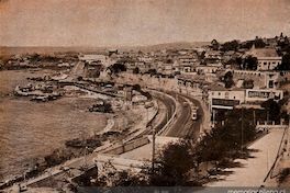 Panoramic view of "El Recreo" Viña del Mar = Panorama del Balneario del Recreo Viña del Mar