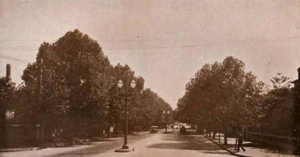 Gran Avenida de Viña del Mar