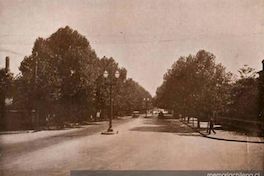 Gran Avenida de Viña del Mar