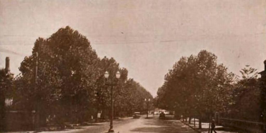 Gran Avenida de Viña del Mar