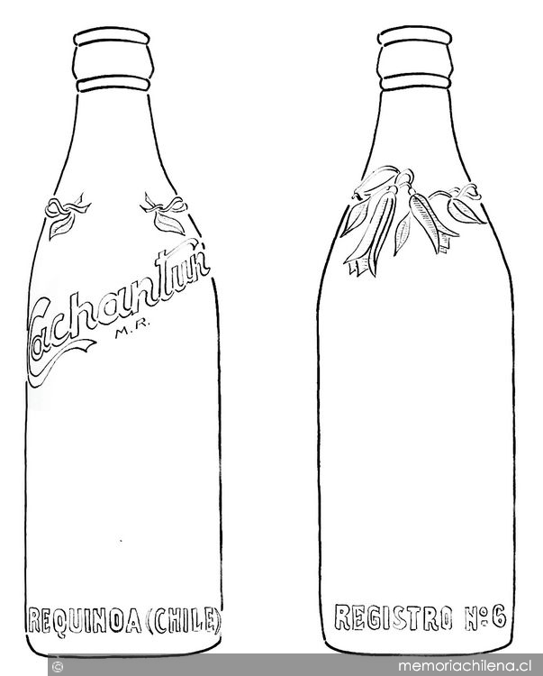 Patente de modelo industrial de botella de vidrio para envasar agua mineral concedida a la Sociedad Anónima Baños y aguas Minerales Cachantún, Valparaíso, 1944
