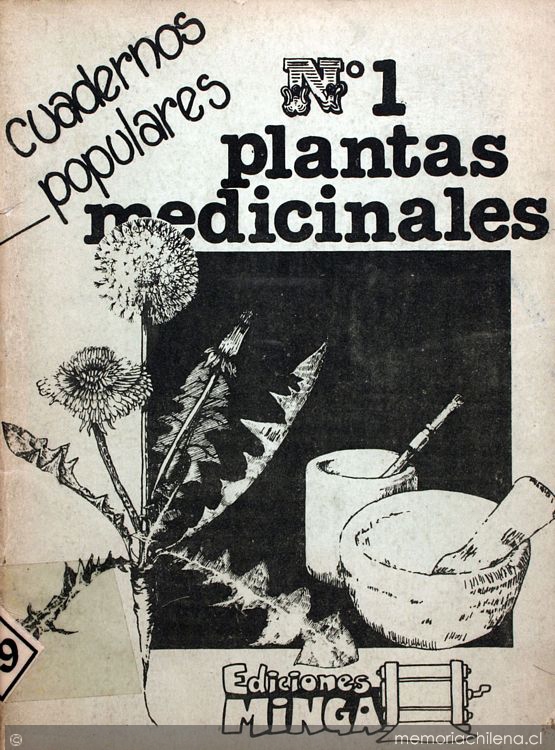 herir suizo derivación Plantas medicinales - Memoria Chilena, Biblioteca Nacional de Chile