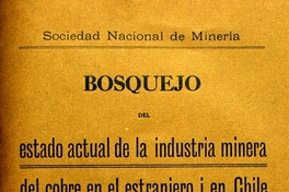 Bosquejo del estado actual de la industria minera del cobre en el estranjero i en Chile