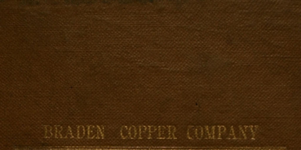 Reglamentos: destinados al gobierno de los empleados del ferrocarril de la Braden Copper Company