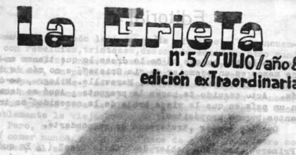 La grieta : n° 5, julio 1988