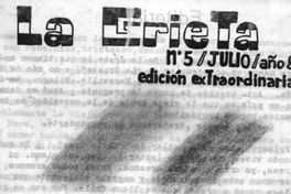 La grieta : n° 5, julio 1988