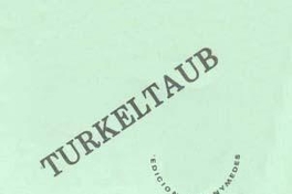 Turkeltaub : testimonio poético de David Turkeltaub