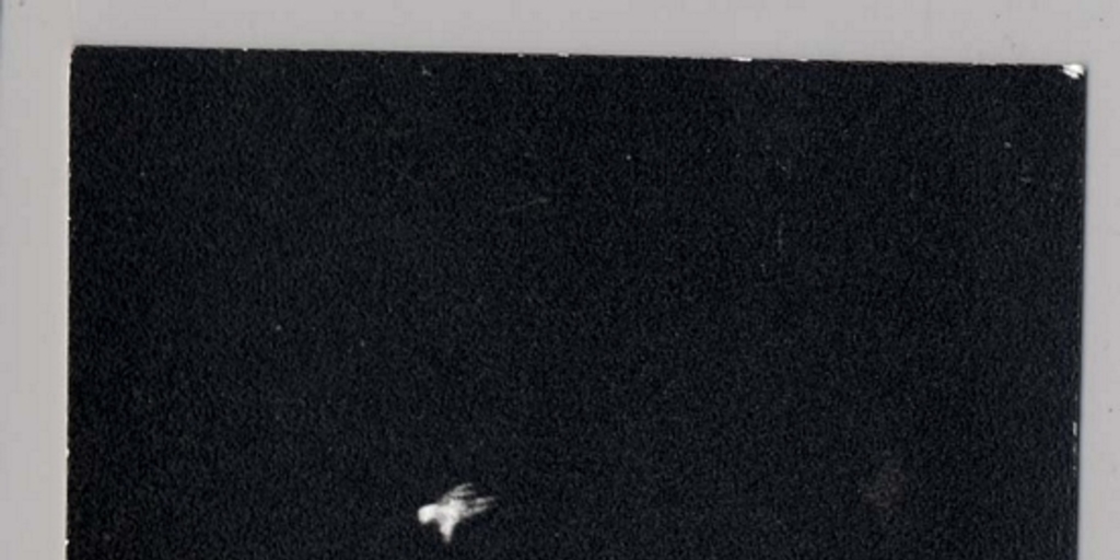 "El Arbol", 1963
