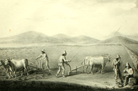 El arado, Travels into Chile over the Andes (1824) de Peter Schmidtmeyer. El arado, Travels into Chile over the Andes (1824) de Peter Schmidtmeyer.
