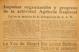 La Voz de Illapel: año 3, no. 499-595, 4 de enero al 25 de diciembre de 1948