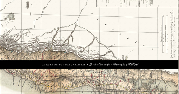 La ruta de los naturalistas: las huellas de Gay, Domeyko y Philippi