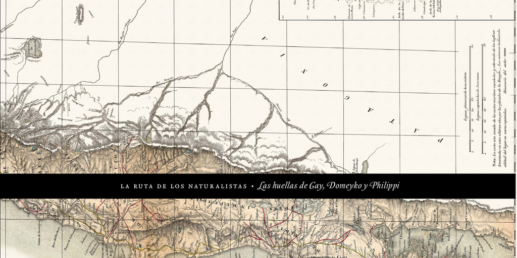 La ruta de los naturalistas: las huellas de Gay, Domeyko y Philippi