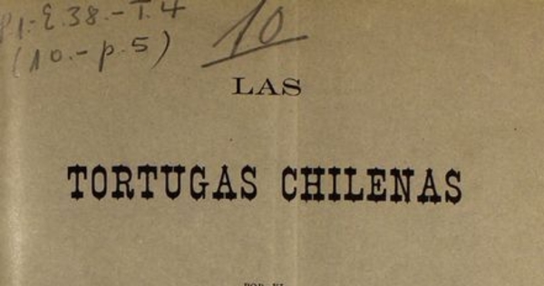Las tortugas chilenas