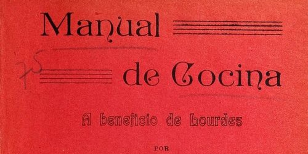 Manual de cocina a beneficio de Lourdes