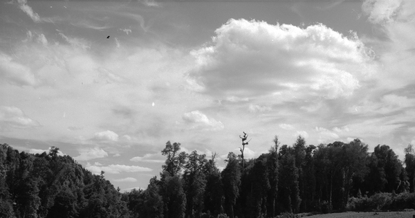 Vista de la Central Hidroeléctrica Pilmaiquén, hacia 1960