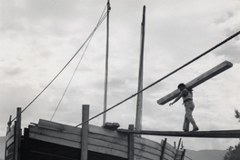 Trabajo en astillero del Maule, 1950