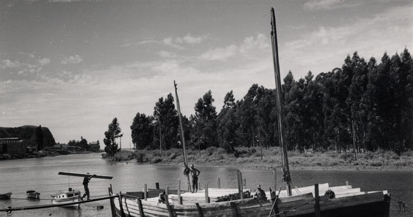 Trabajo en astillero del Maule, 1950