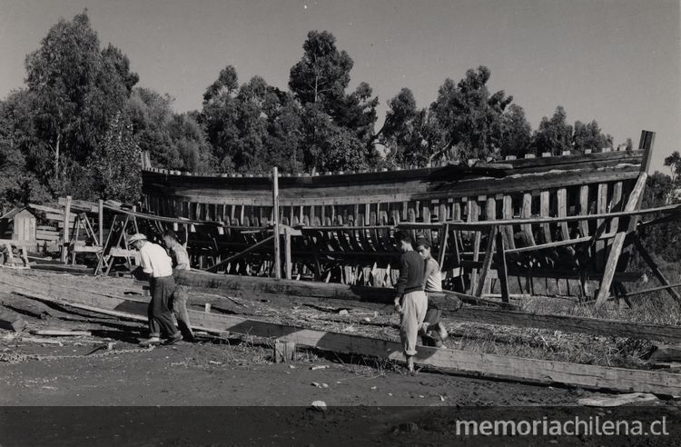 Labores en astillero del Maule, 1950