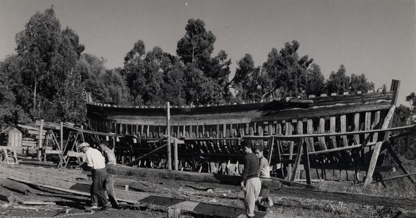 Labores en astillero del Maule, 1950