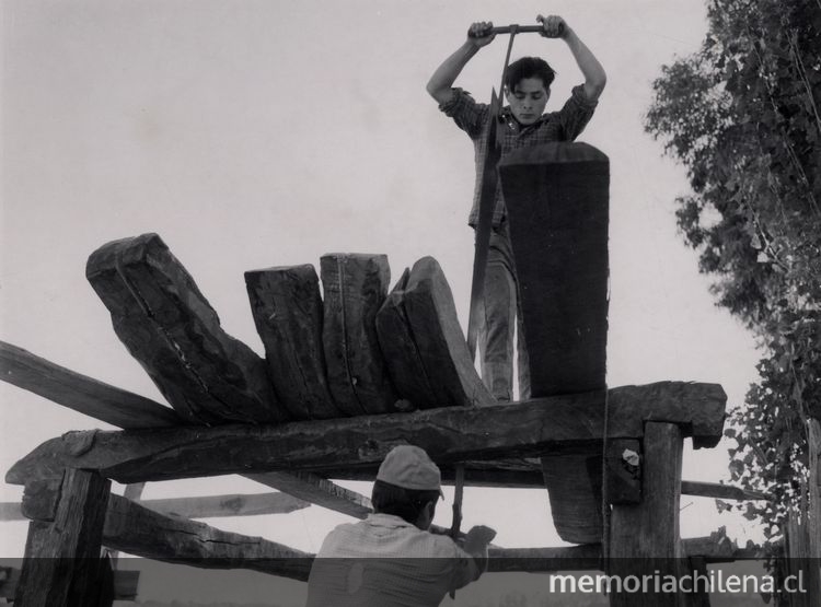 Labores en astillero del Maule, 1950