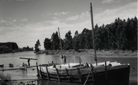 Trabajo en astillero del Maule, 1950