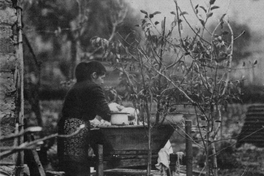 Campesina lavando, ca. 1965