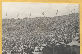 Estadio lleno de gente [fotografía]